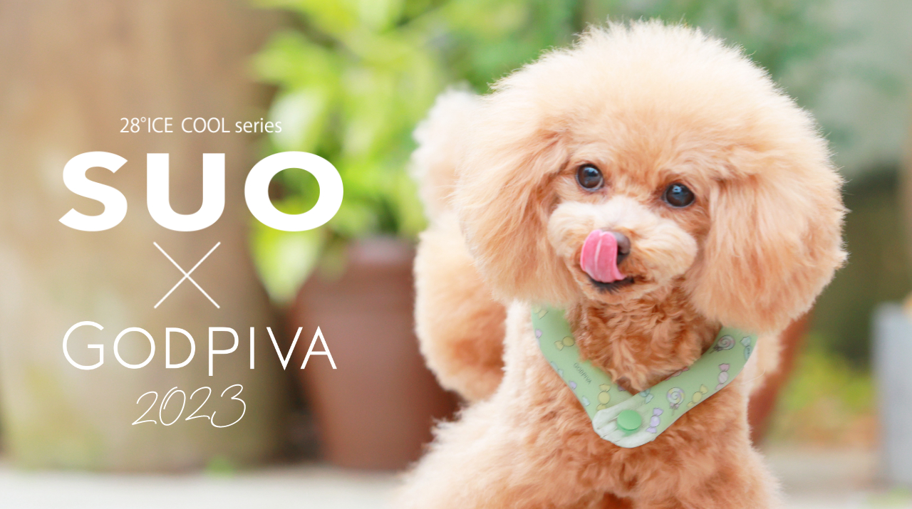 GODPIVAゴッドピバ 限定 GODPIVA × SUO コラボ 28°ICE COOL RING 犬用 COOL 可愛い アイスクリーム柄 人気 中型犬 大型犬 Mサイズ