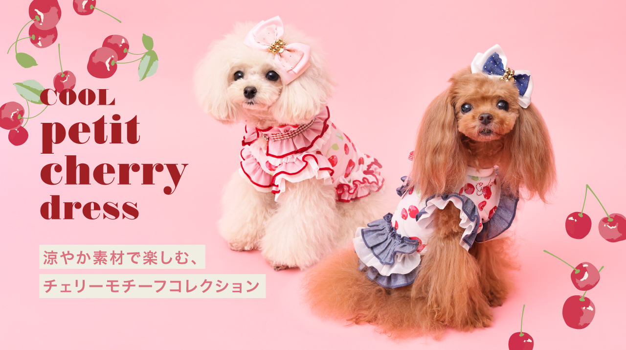 �ץƥ������꡼���꡼��