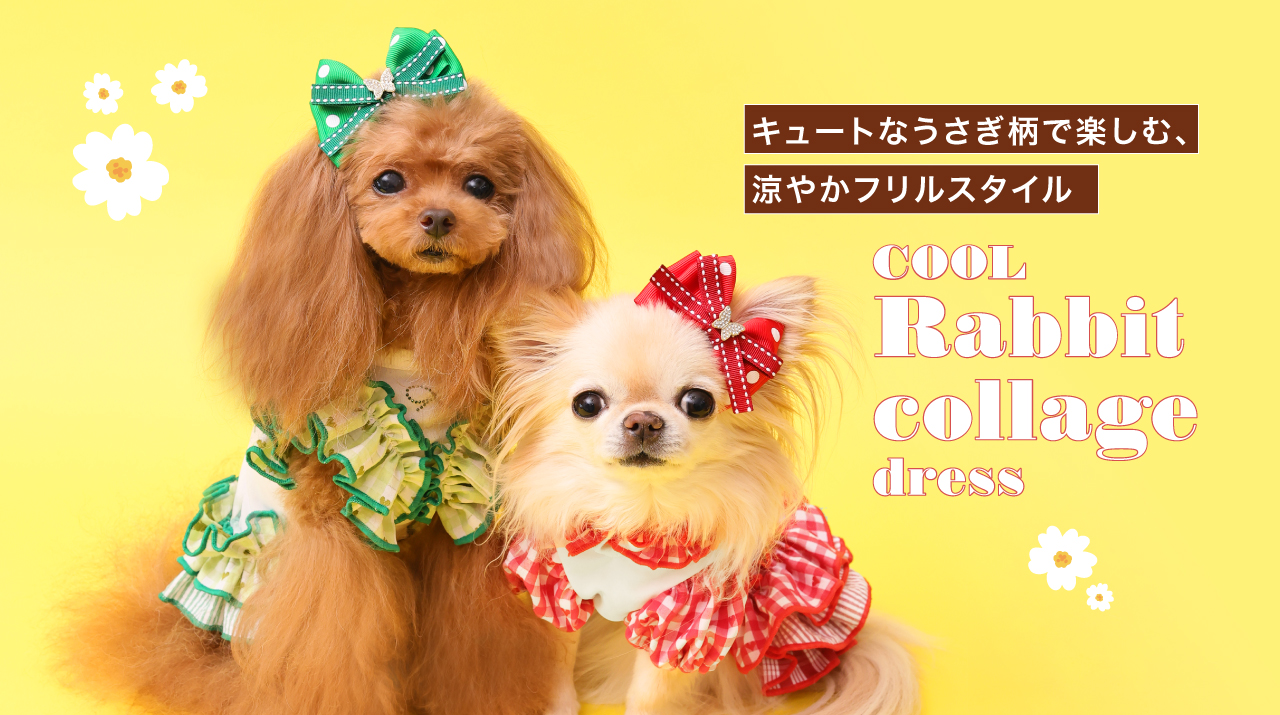 ��ӥåȥ��顼���奷�꡼��